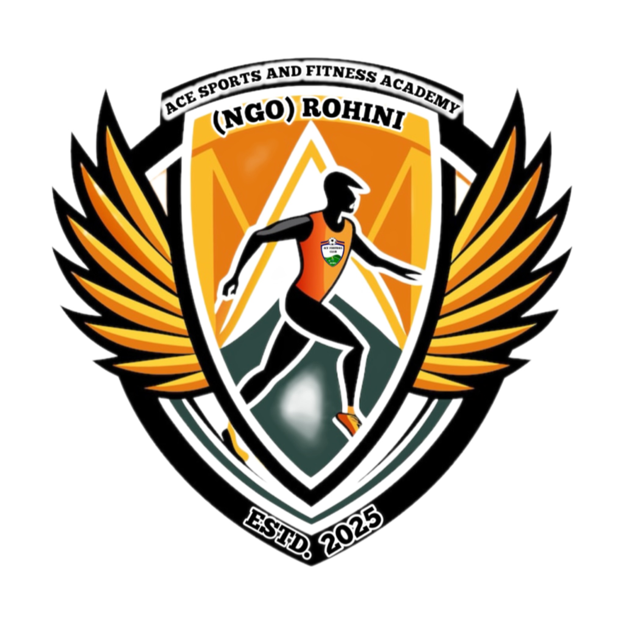 ACE SPORTS AND FITNESS ACADEMY